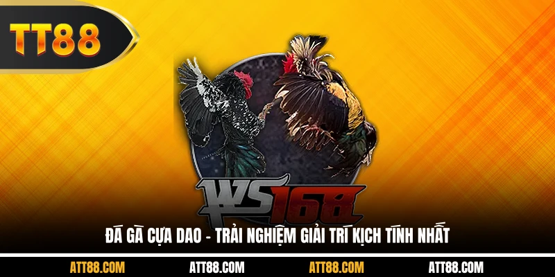 Đá Gà Cựa Dao